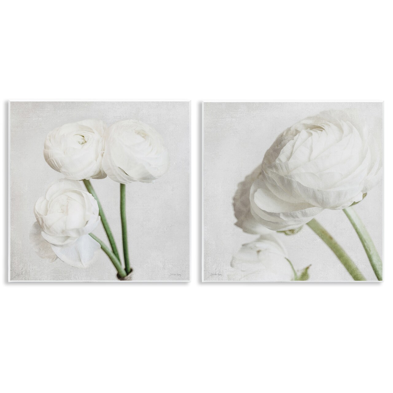 Stupell Industries Simple White Peony Stems 2 pc Wall Plaque Art Set Design by Jennifer Rigsby